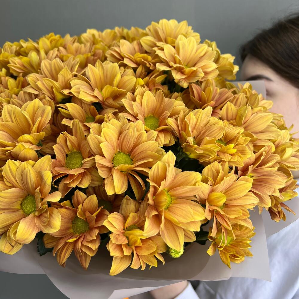 Chrysanthemum ginger - 9 pieces