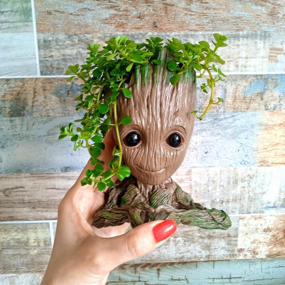 Groot-el guardián de la vegetación 🌱