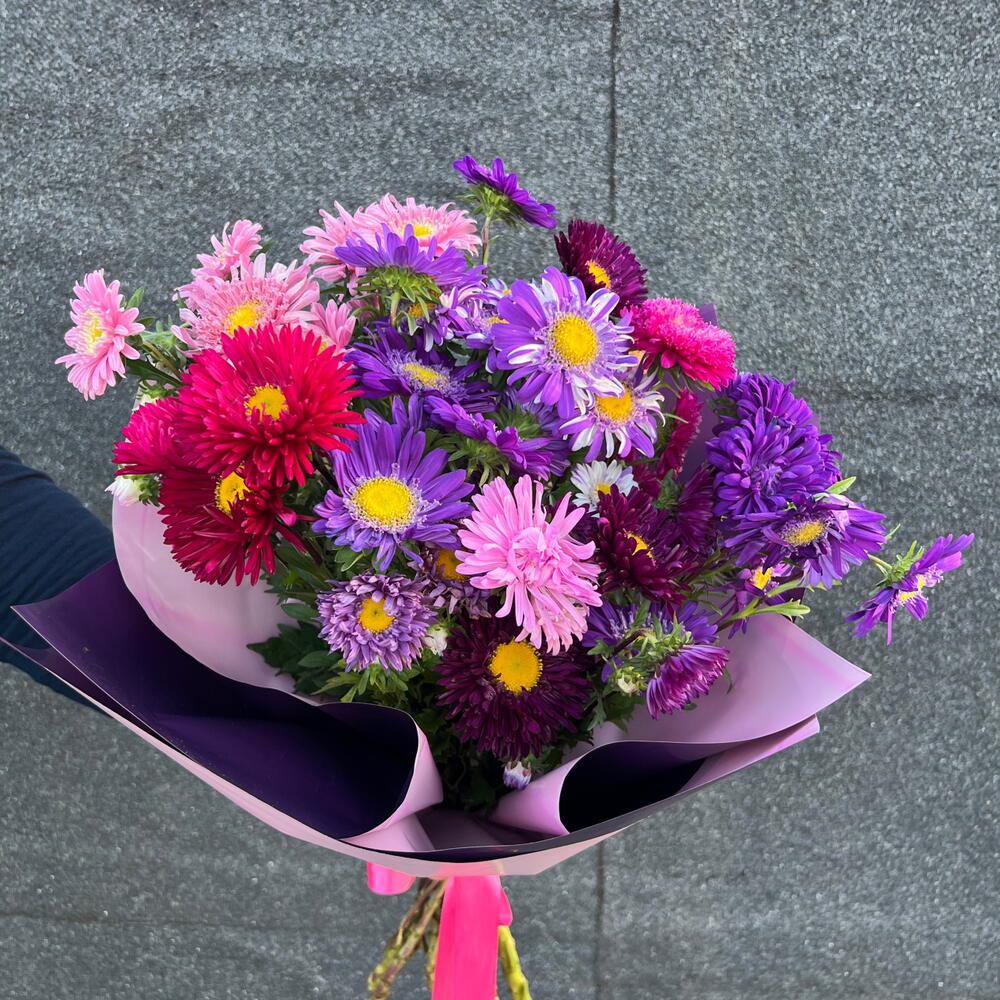 Aster 🌸🌺