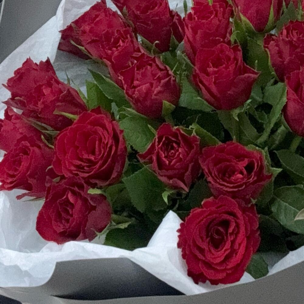 31 роза red