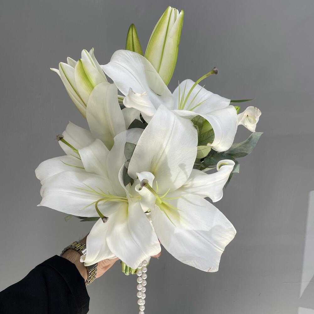 Wedding Lilly🤍
