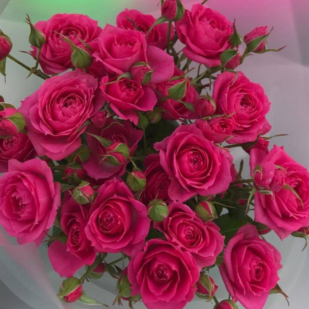 Букет с кустовыми розами 🎀