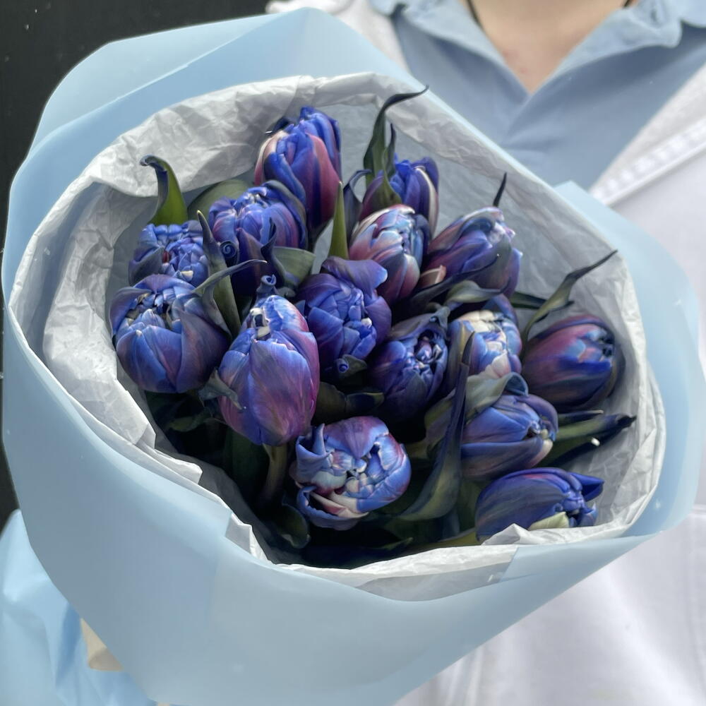 КОСМИЧЕСКИЕ ТЮЛЬПАНЫ💙