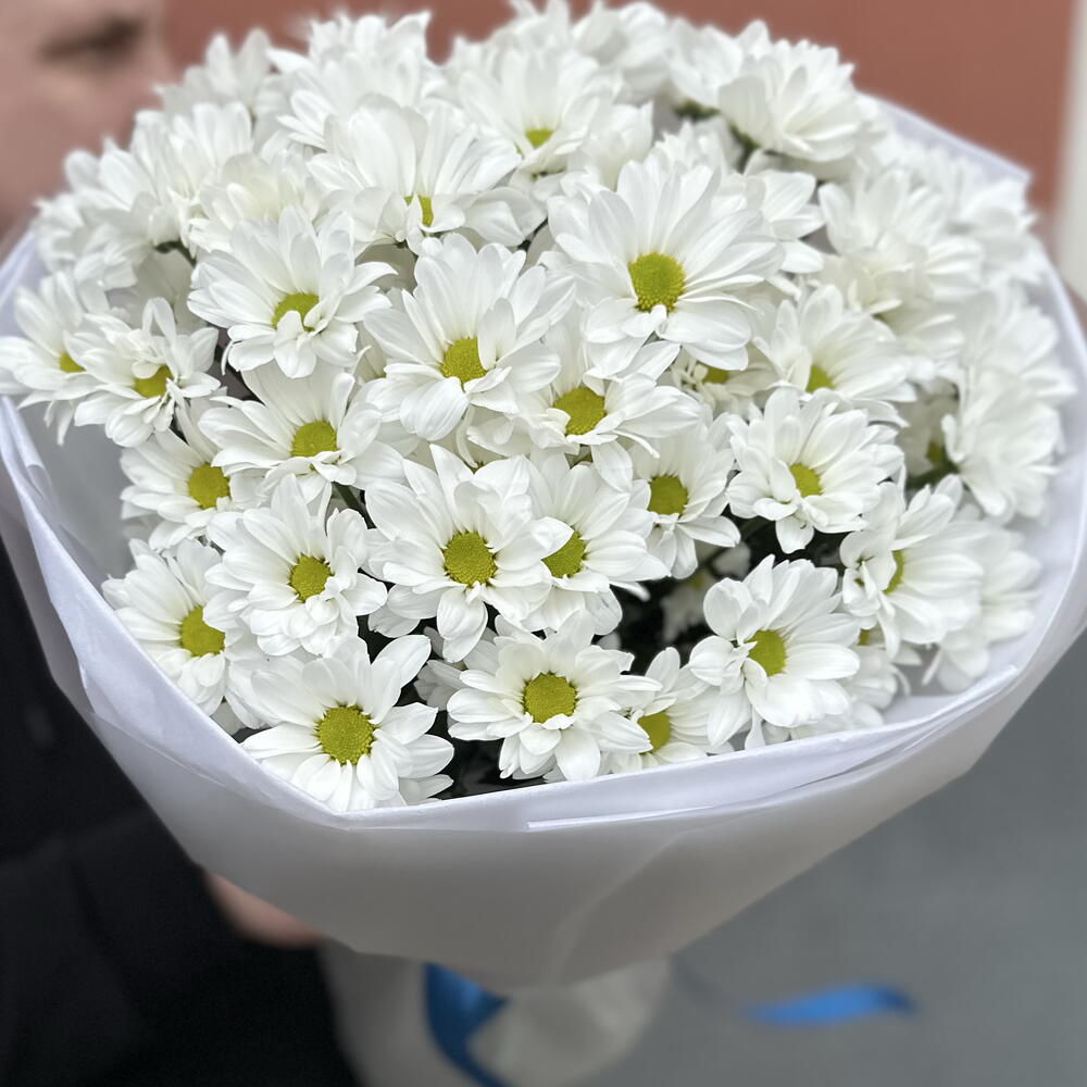 ~ 101 ромашка (9 веточек)