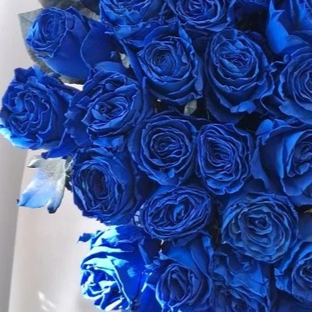 Букет Синяя птица