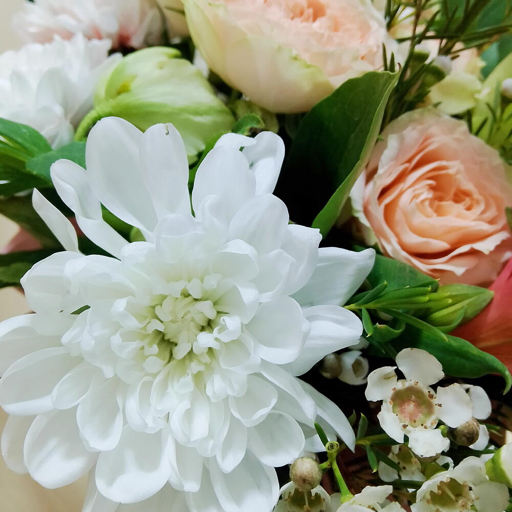 Композиция из хризантемы и розы😍🌸