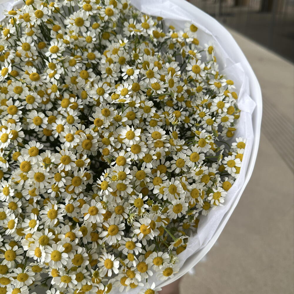 Букет лета из Pinterest 🌸