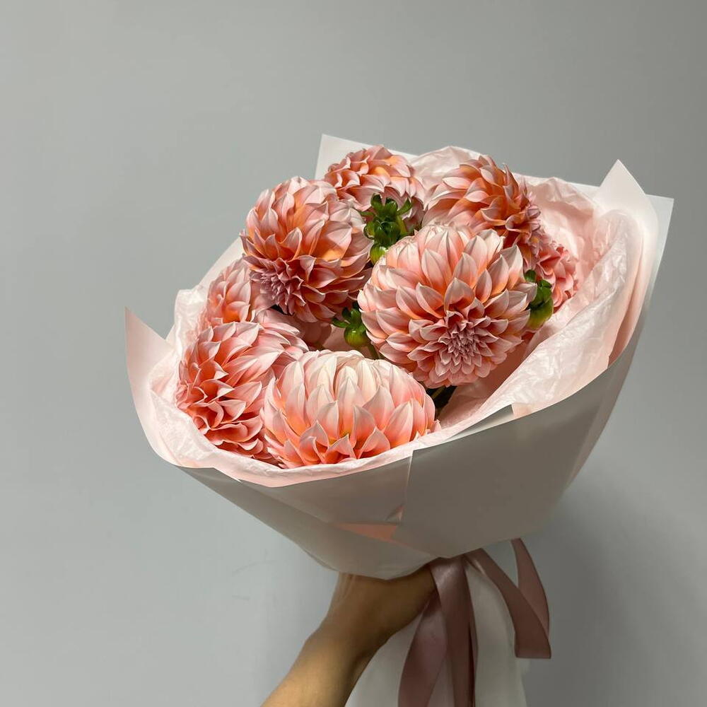 Персиковые георгины (9)
