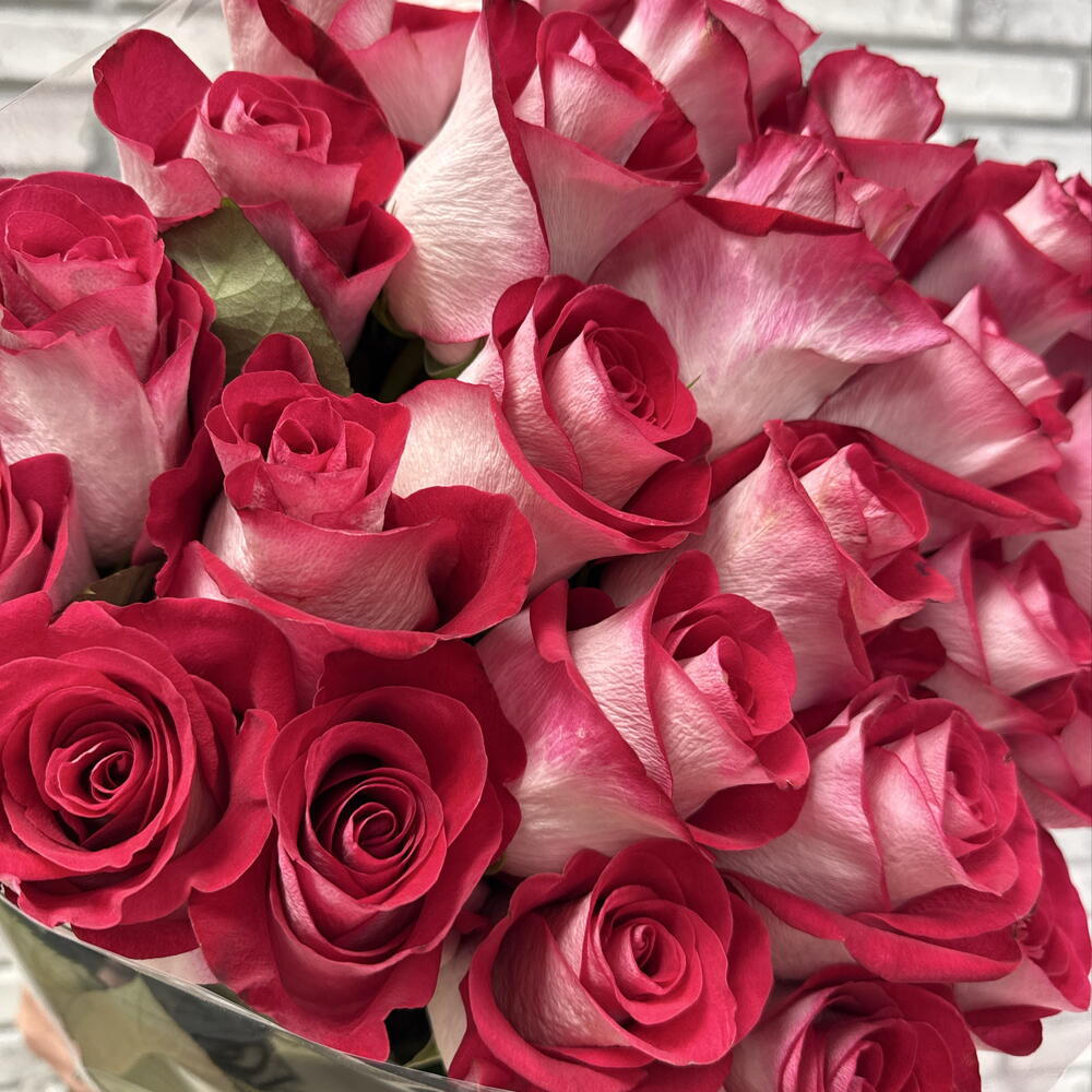 Роза 25 🌹