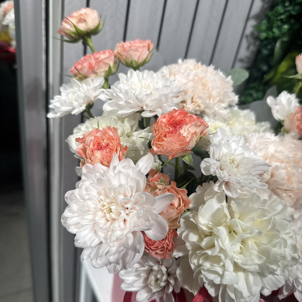 Композиция сборная 41005