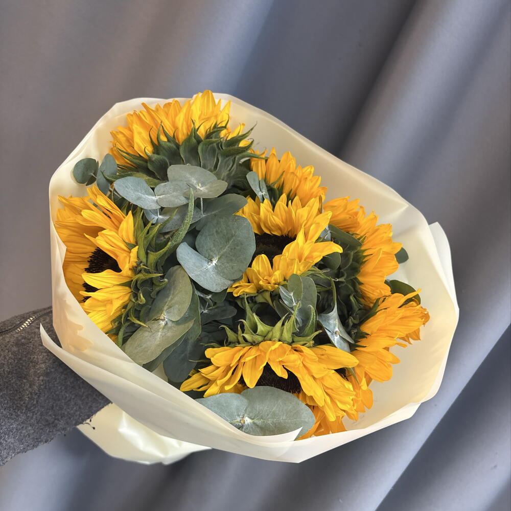 Подсолнухи 🌻