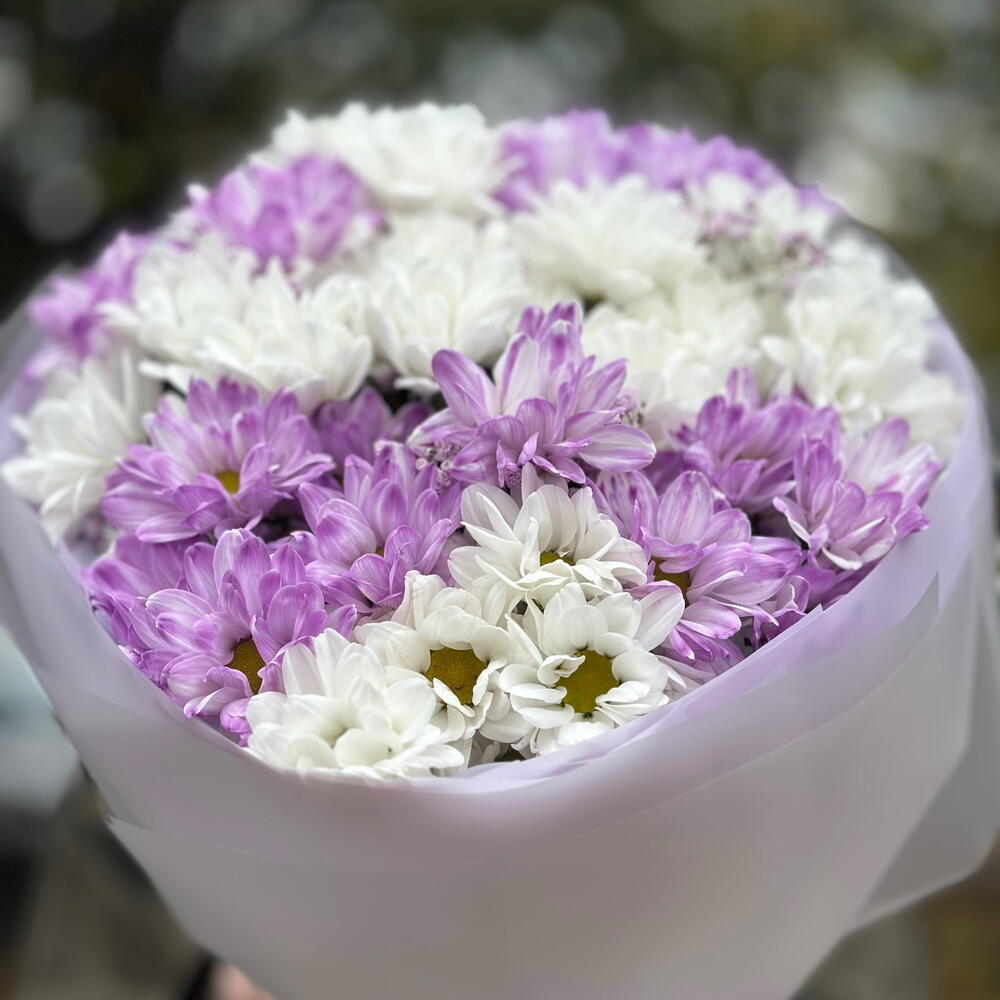 Лавандовые мечты
