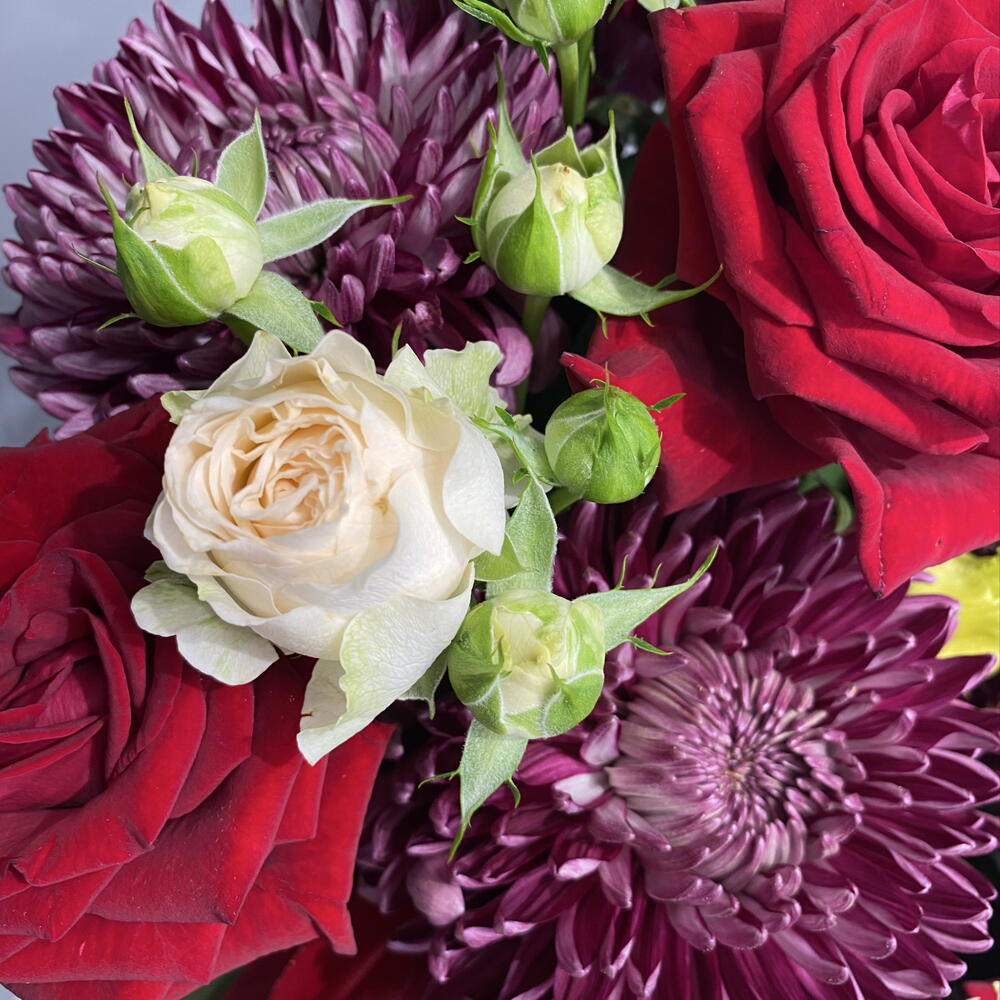 Малиновый бархат