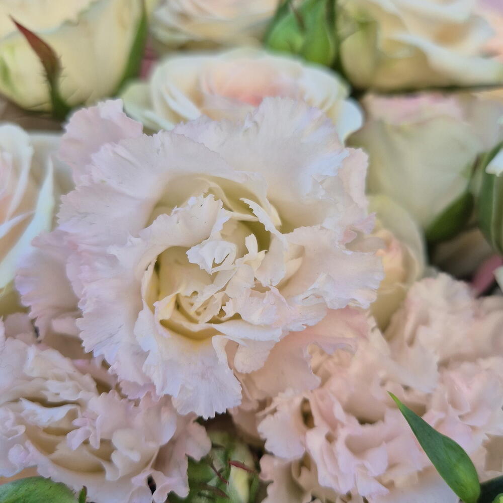 Bouquet 1 🩷 (кустовые розы и эустома)