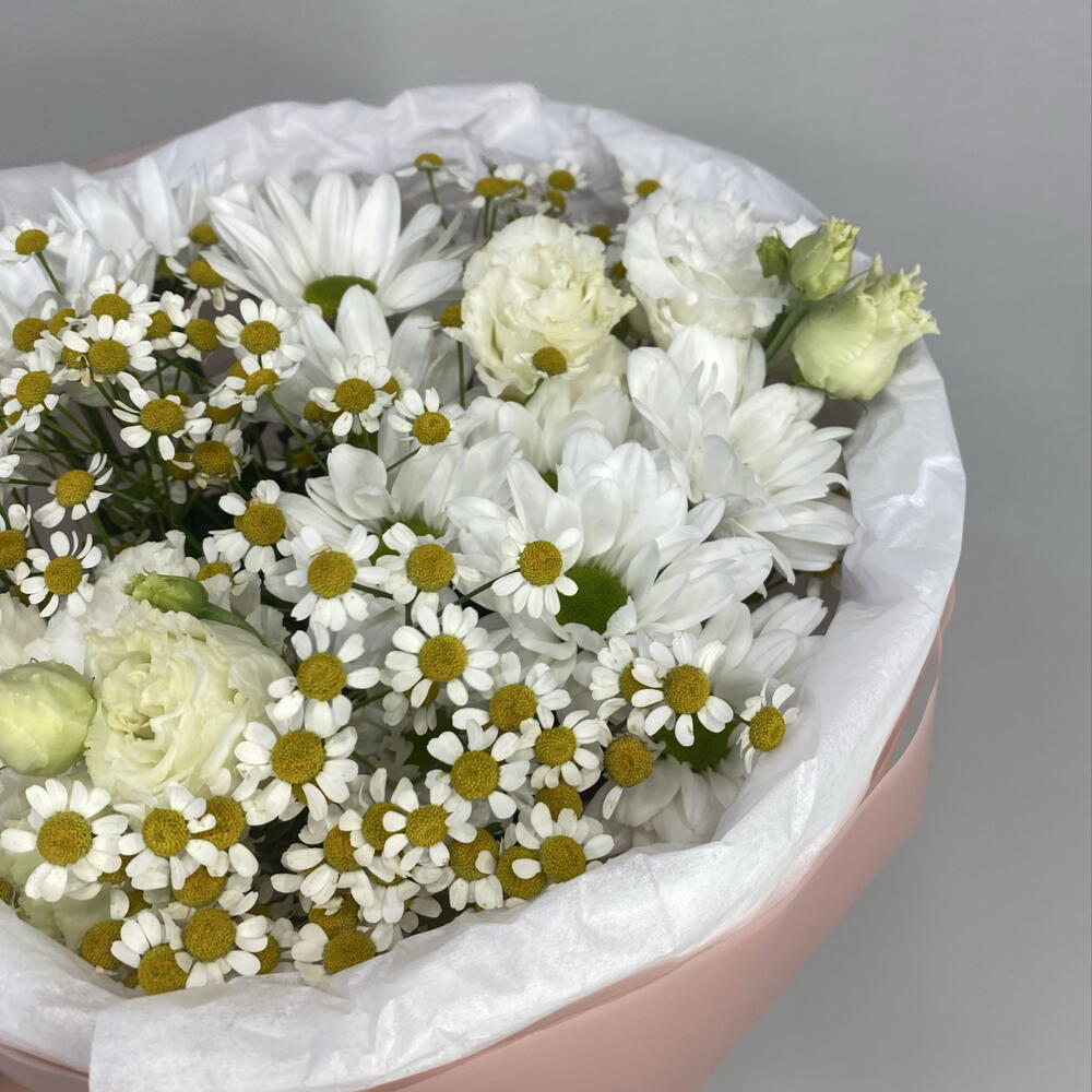 Ромашковые поля