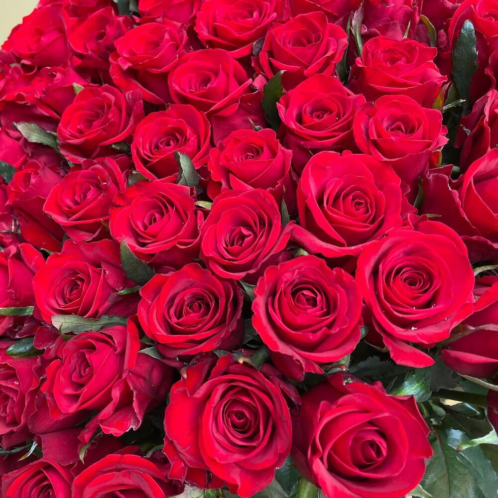 101 красная роза 70 см🌸