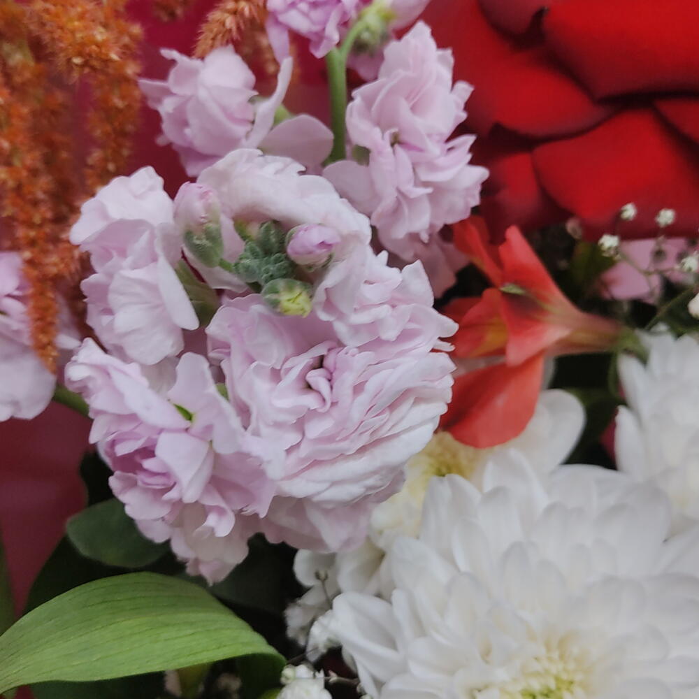 Букет"страсть",🌸