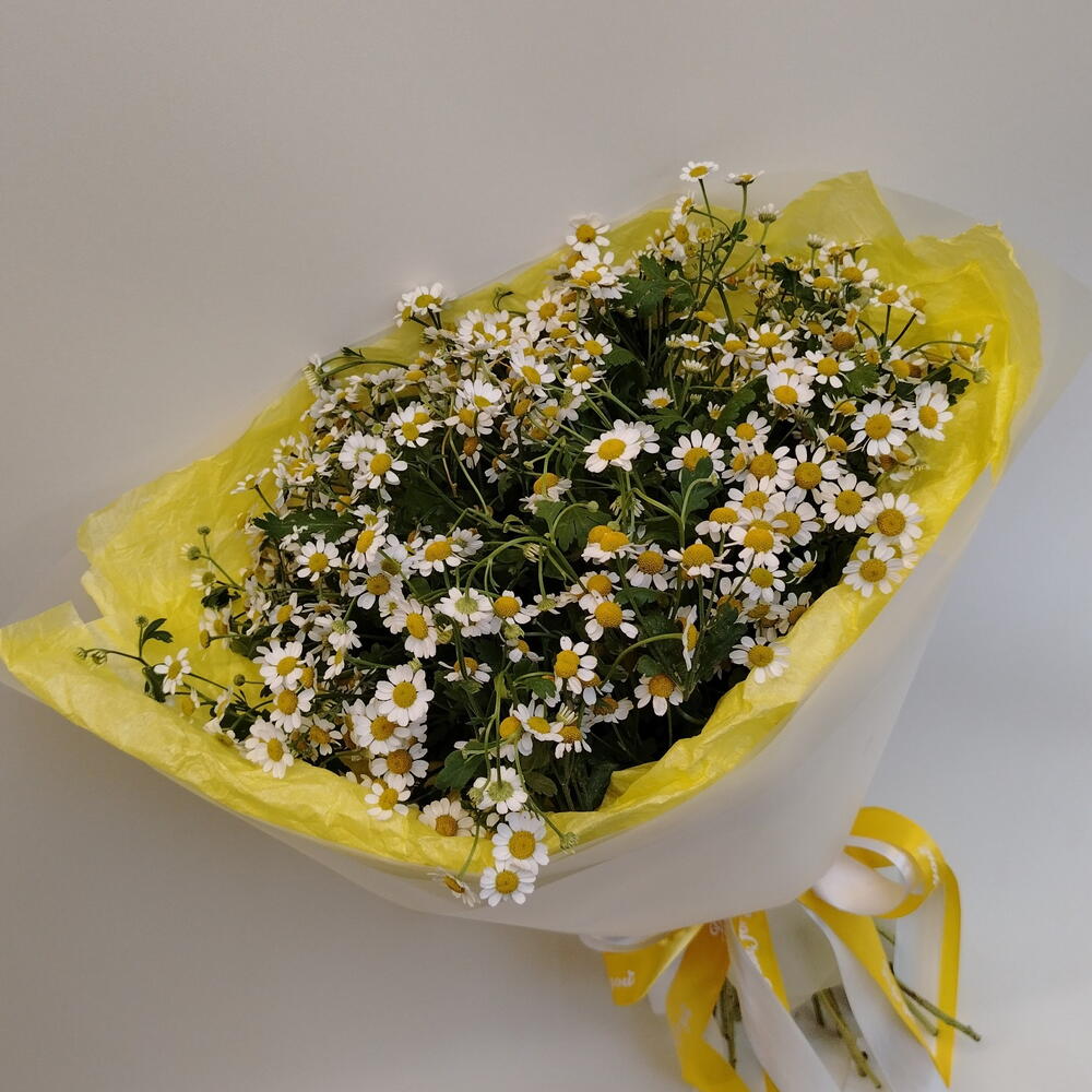 Ромашки)