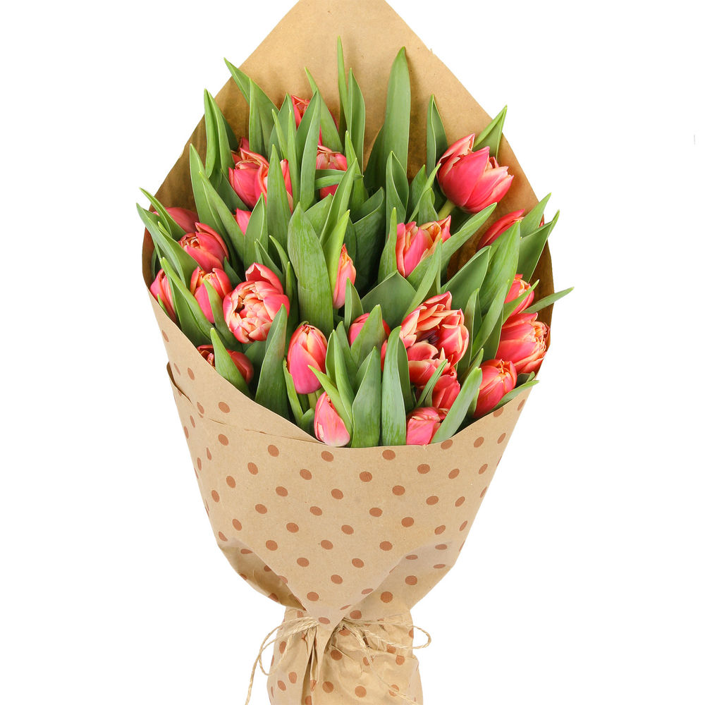 Недорогой букет с тюльпанами. Дешевые тюльпаны. Недорогие тюльпаны в Москве. Как выглядят дешёвые тюльпаны. Купить тюльпаны недорого интернет магазин