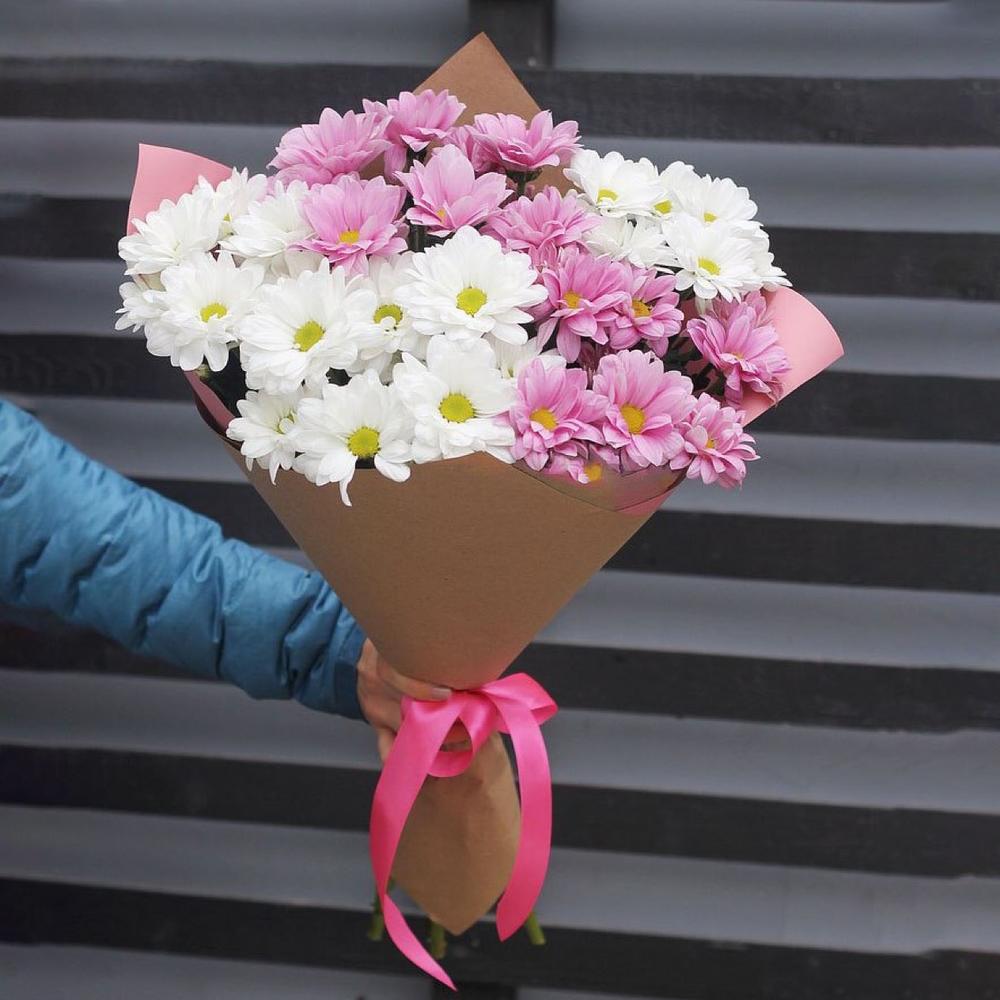 Chrysanthemums mix