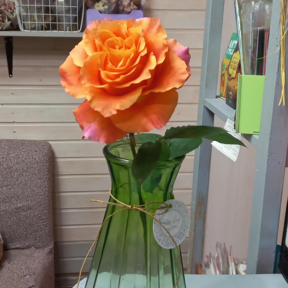 Купить вазу для цветов в новосибирске flower москва