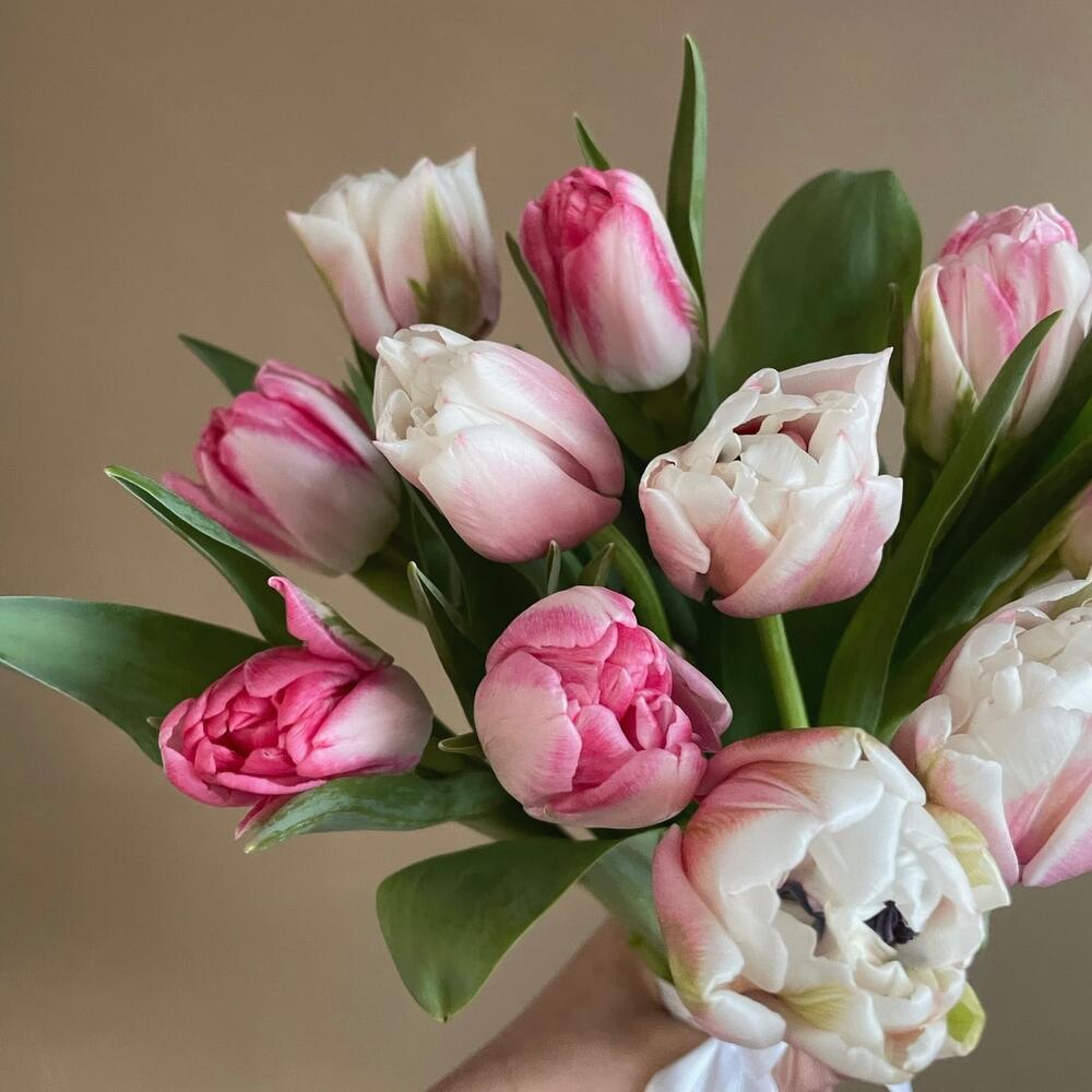 Нежный букет Тюльпаны🌷