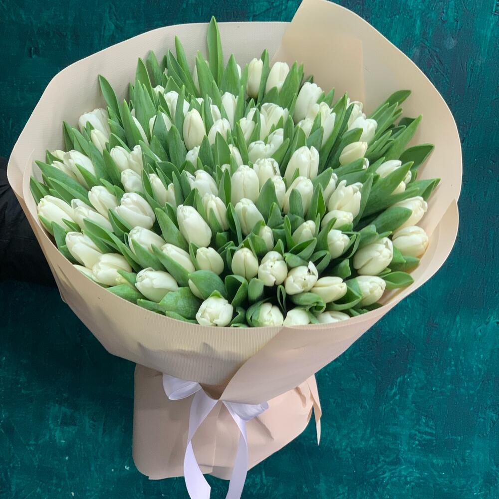 101 tulipanes blancos