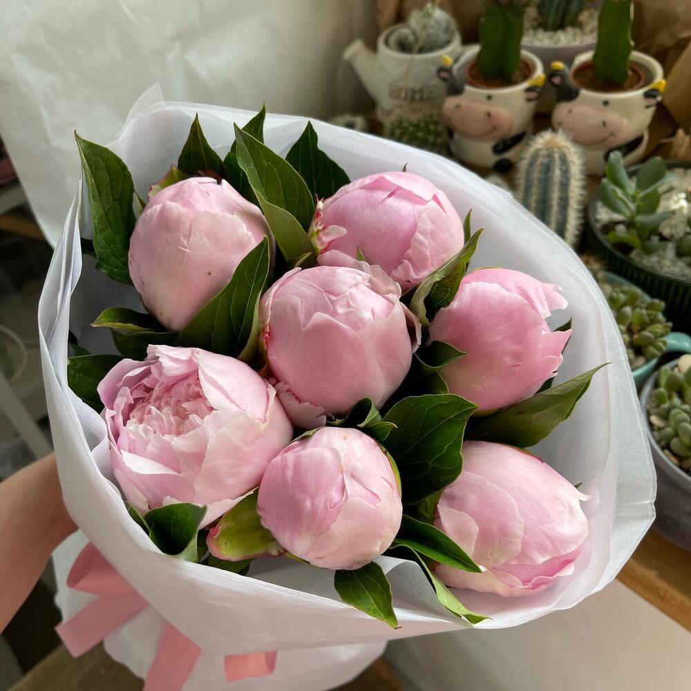 7 пионов розовые зефирки
