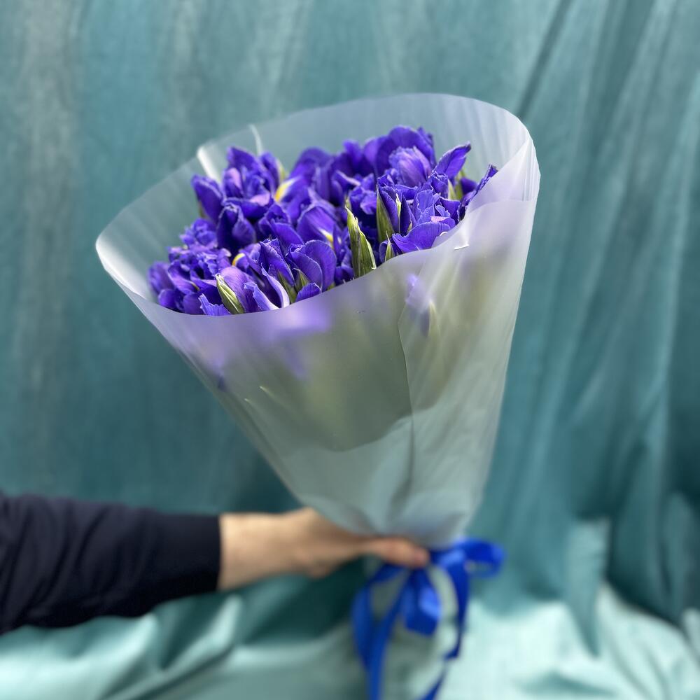 Ирисы Blue  Magic💙💙💙