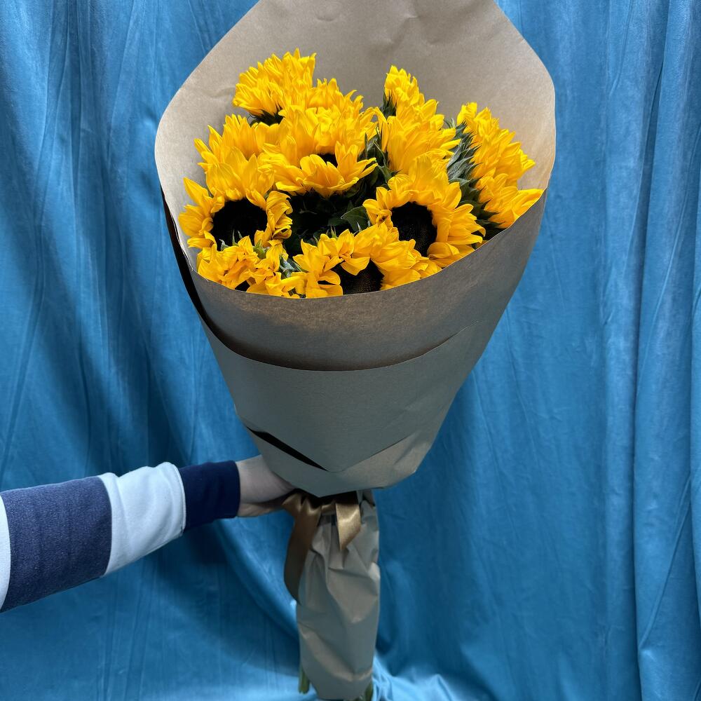 Подсолнухи 🌻 🌻