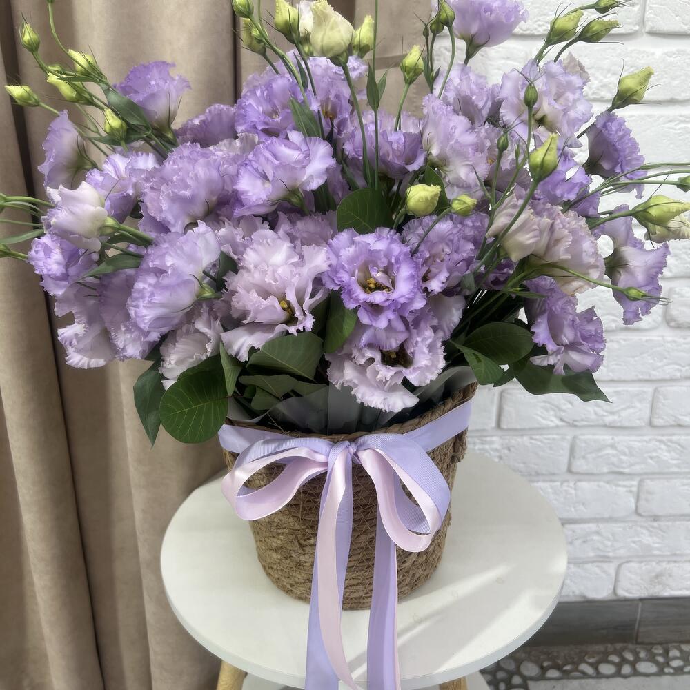 Planter «lilac breeze»