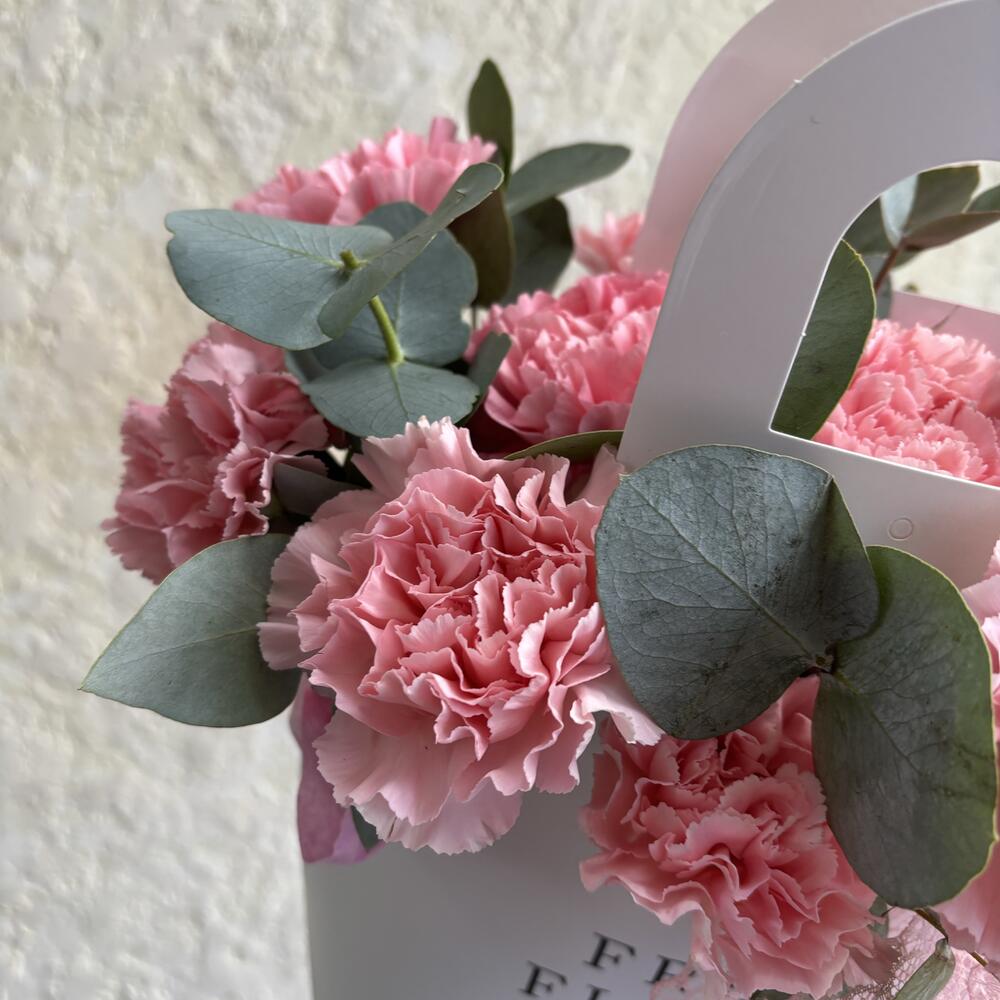 Композиция из стойких, ярких розовых диантусов и эвкалипта в сумочке Fresh Flower