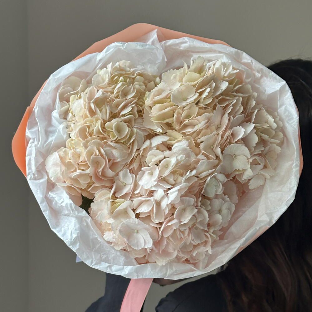 Букет персиковых гортензий 🌸