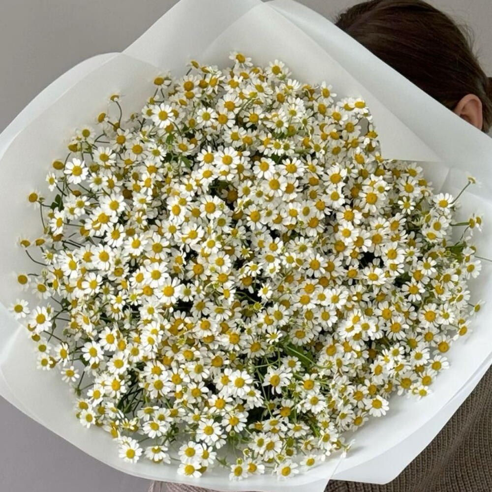 Воздушный букет из полевых ромашек 🌼