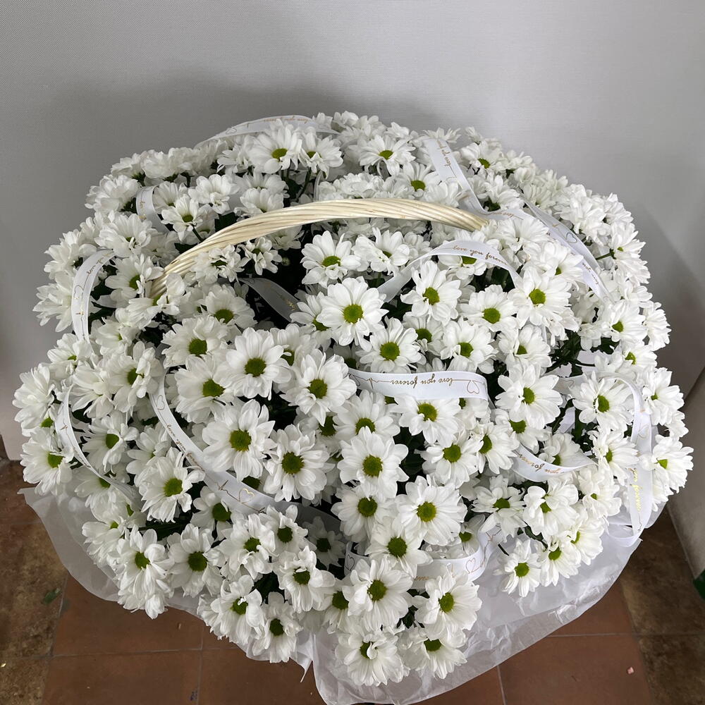 Корзина с ромашками хризантема XXXXL🤍