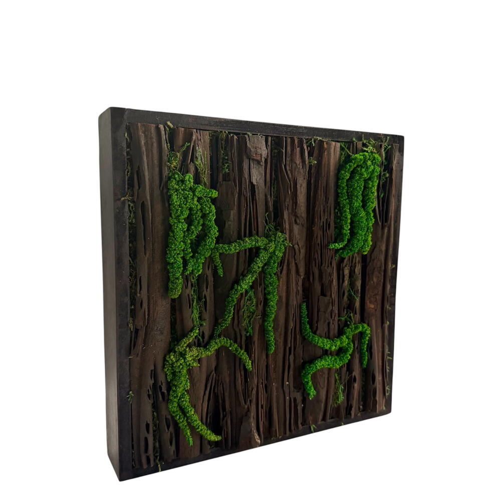 Картина из стабилизированных цветов 🌿
