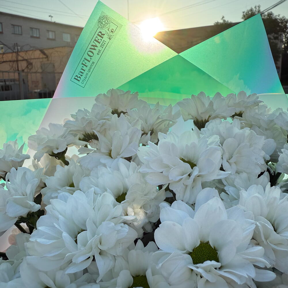 Ромашки