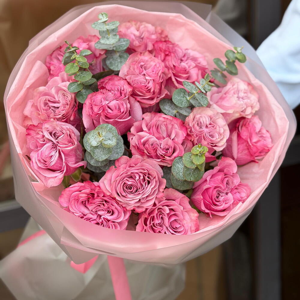 Pink Velvet Dream