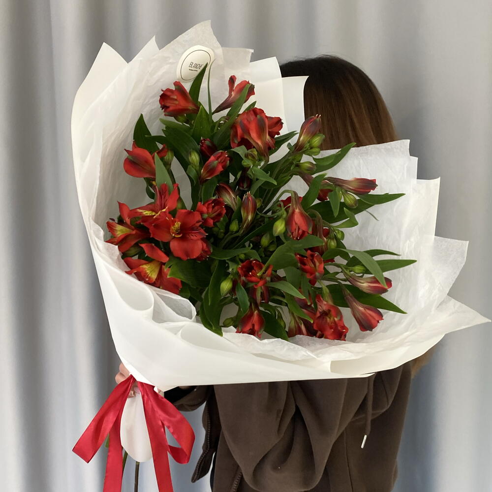 Букет из 9 бордовых альстромерий🍓