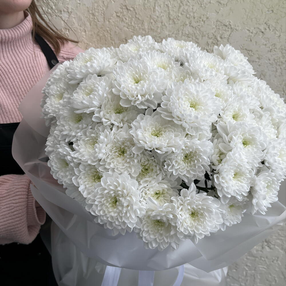 Большой пышный белый монобукет из 17 кустовых хризантем сорта Алтай