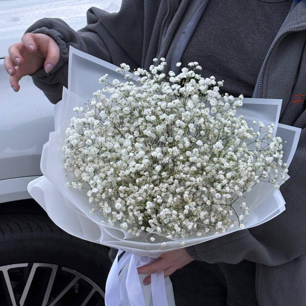 Гипсофила гипсофилы букет из гипсофил