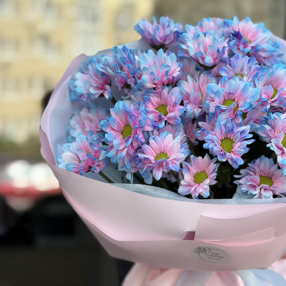 ≈ 51 ромашка Бабл гам