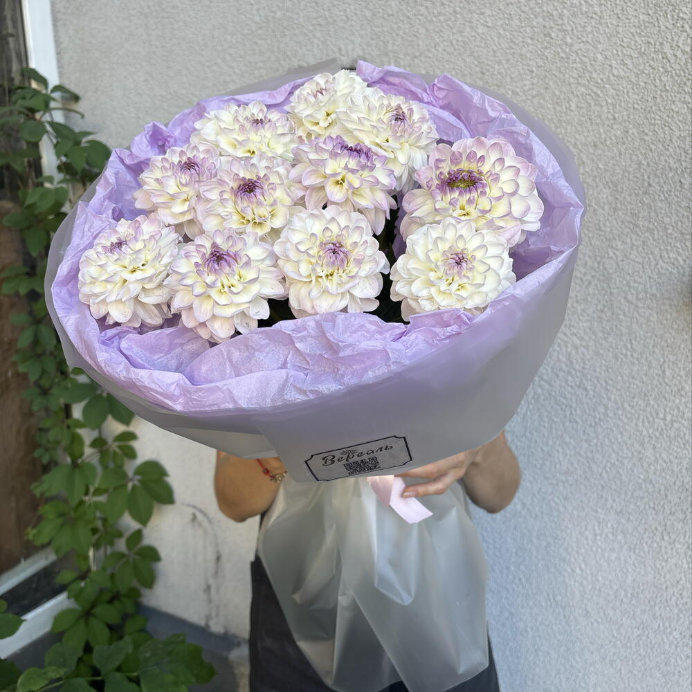 Букет нежных георгин