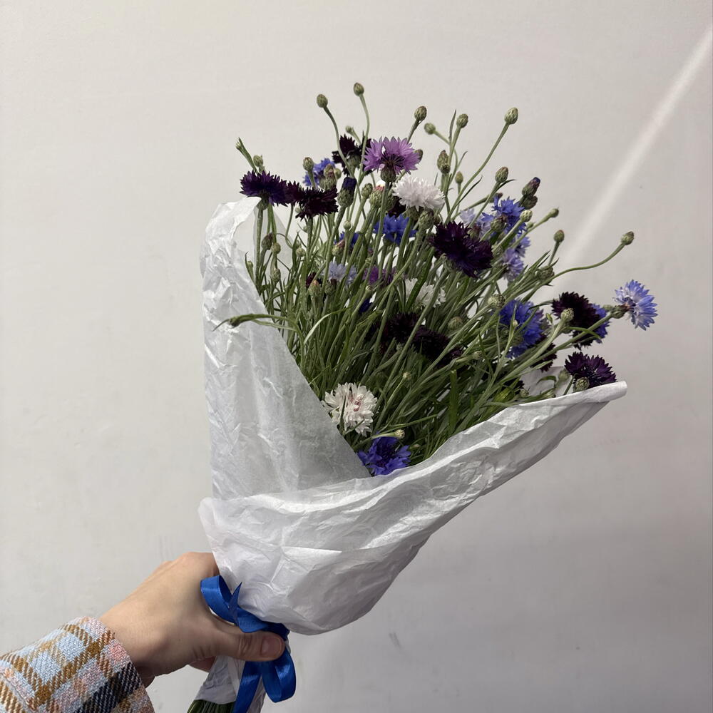 Букет из васильков