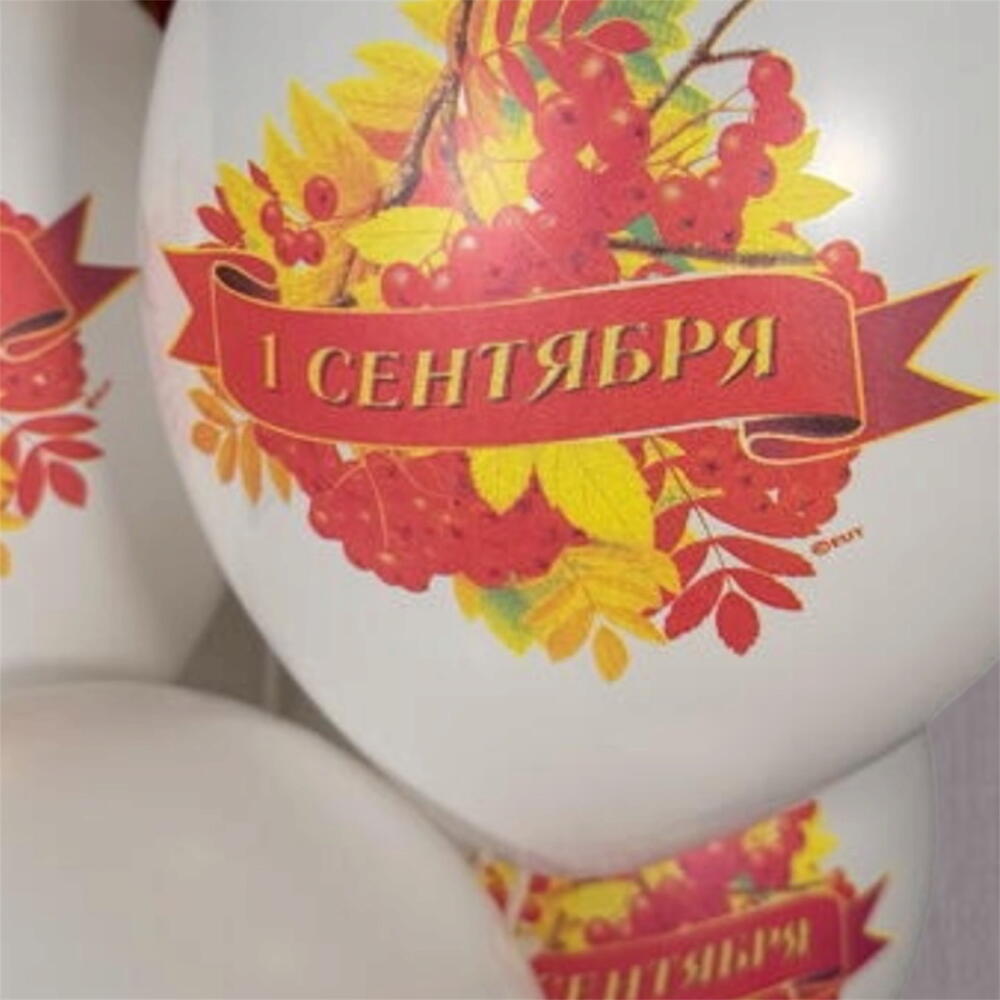 Шарики на 1 сентября фонтан и карандаш