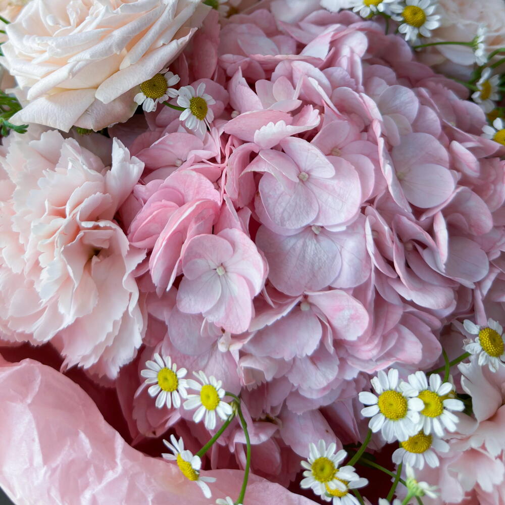 Букет с гортензией, розой Бомбастик и ромашками «Розовый закат» 🌸🤍 40816