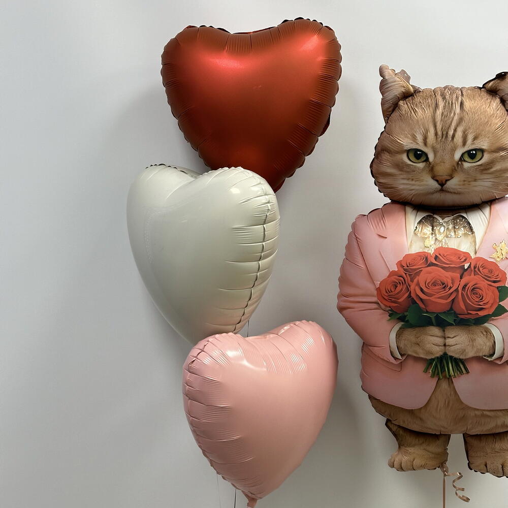 Шарики с котом котик с сердцами