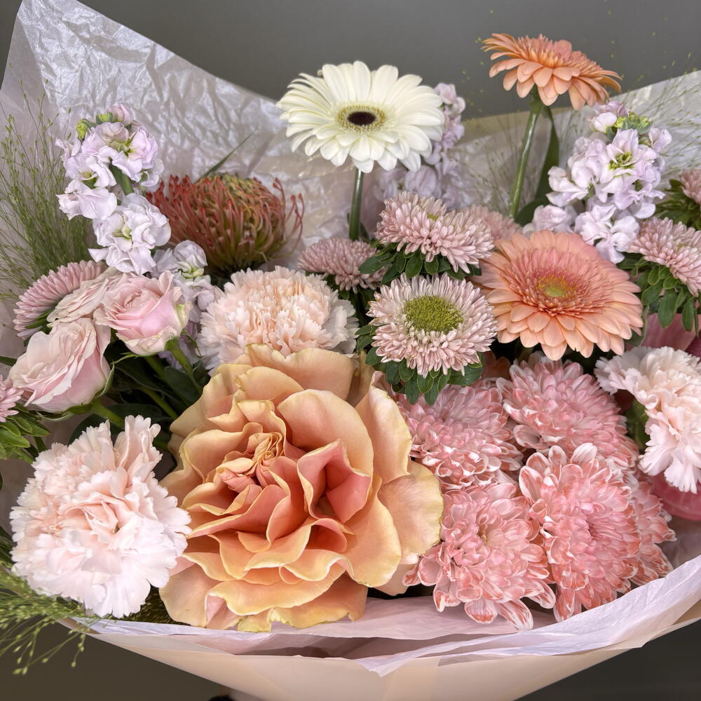 CITY BLUM PREMIUM