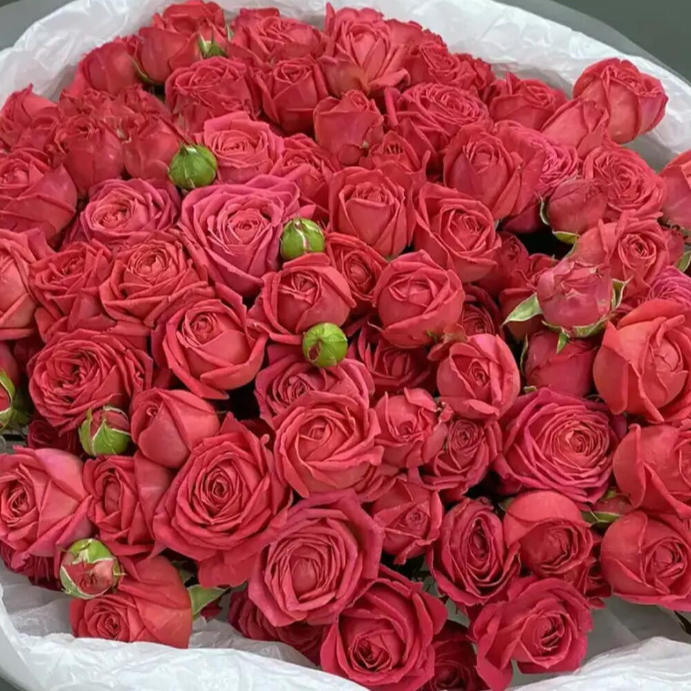 пионовидные розы баблс 🌺