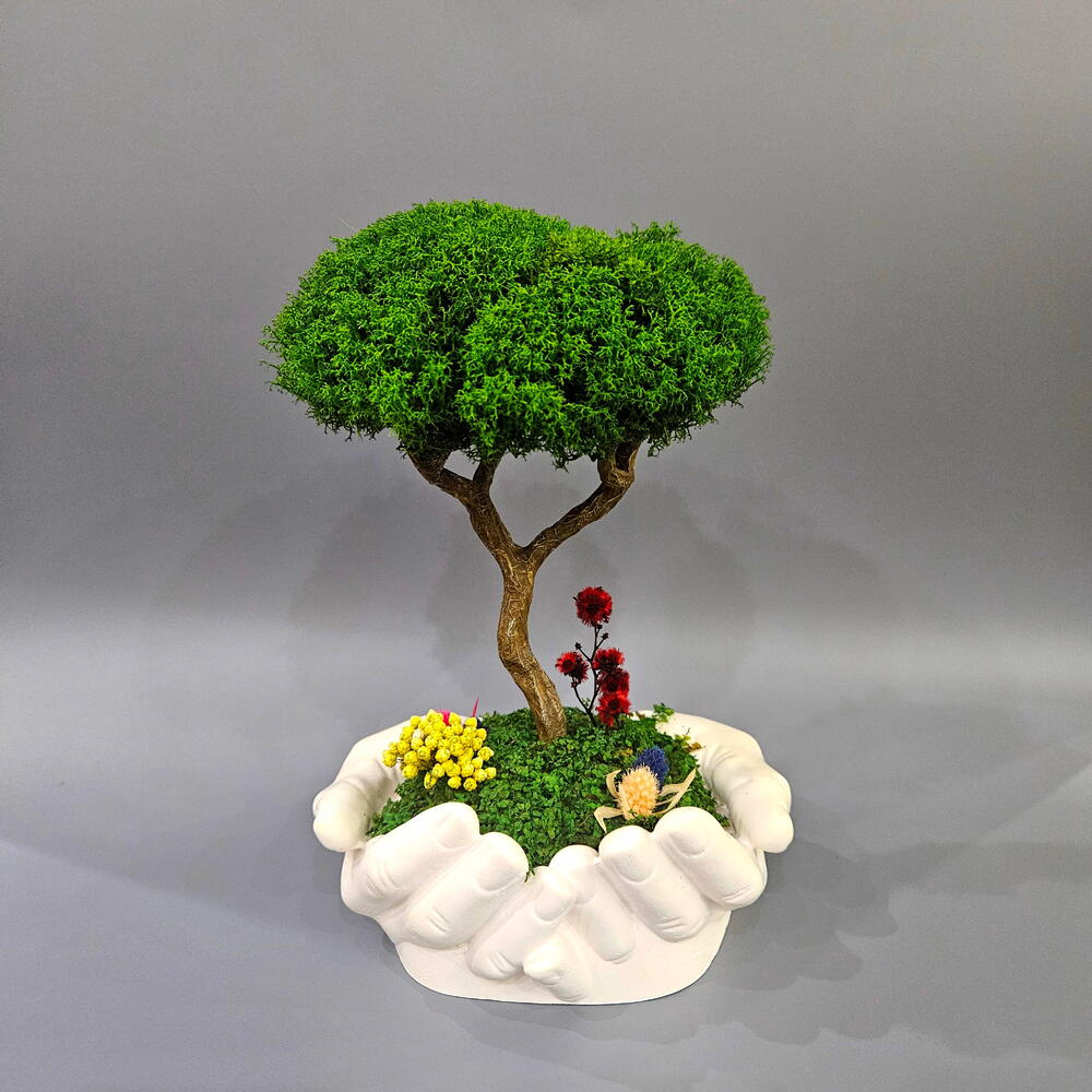 Árbol en la palma